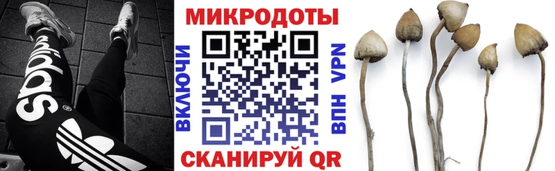 Галлюциногенные грибы мицелий  Кизляр 